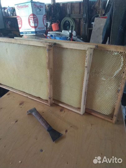 Сушь для пчел