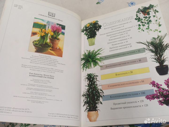 Ланкастер Комнатные растения 2003