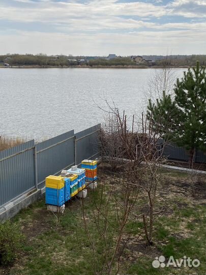 Продам пчел