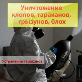 Уничтожение клопов тараканов грызунов