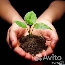 Биогумус компост удобрение