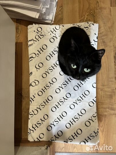 Брендовые пакеты