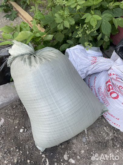 Отходы пивного производства