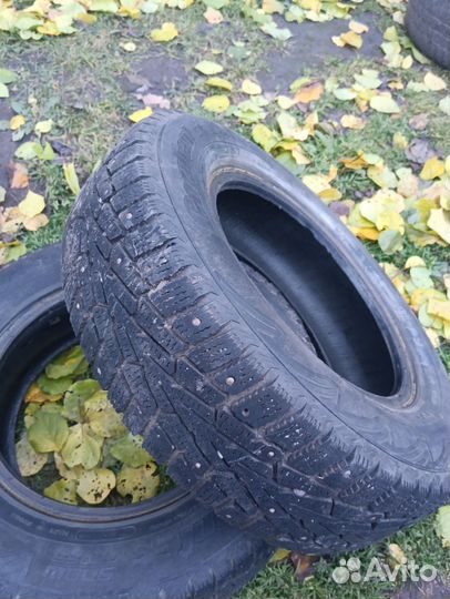 Cordiant Polar 175/75 R13