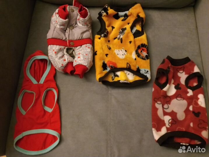 Одежда для собак и кошек