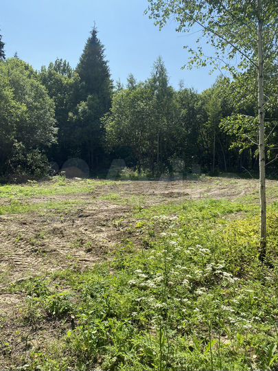 Участок 11,3 сот. (СНТ, ДНП)