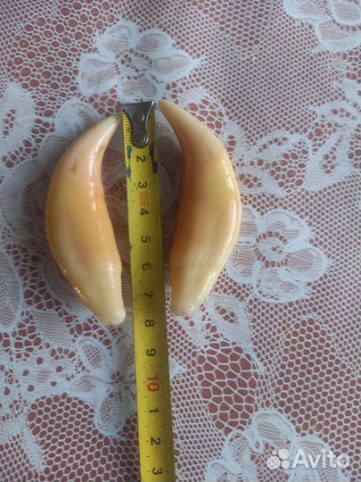 Клык медведя имитация