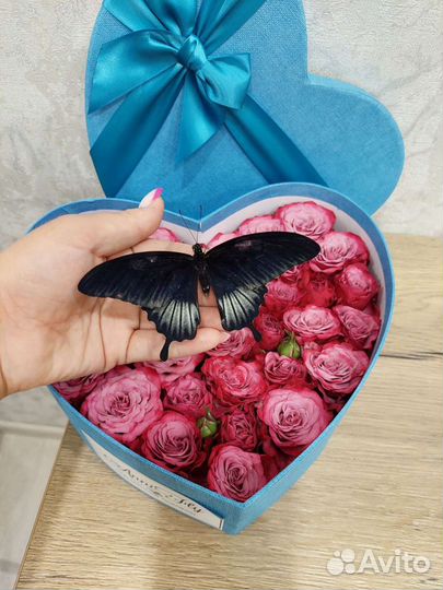 Ферма бабочек