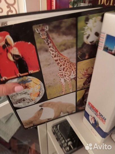 Энциклопедия животных