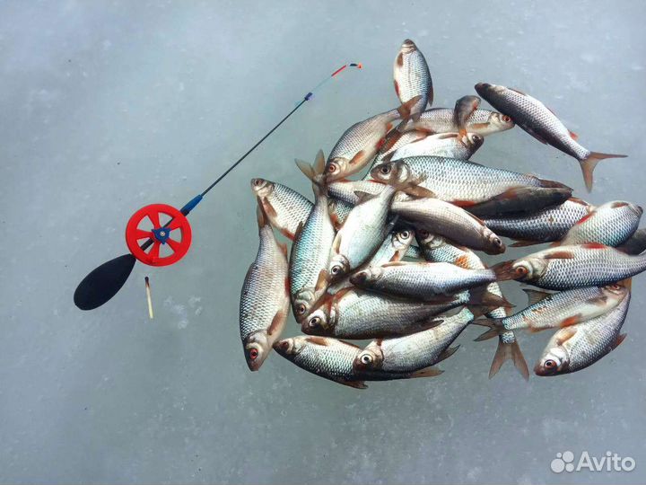 Удочка зимняя 