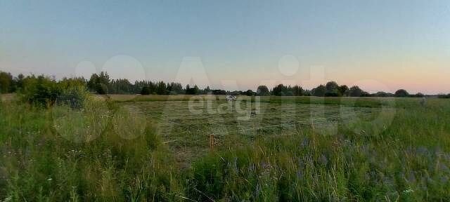 Участок 10,6 сот. (ИЖС)