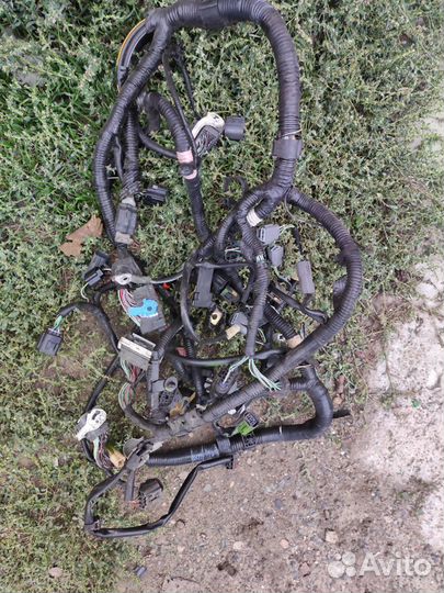 Проводка двигателя мазда BK 2.0 LF17