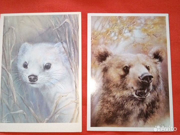 Открытки советские животные