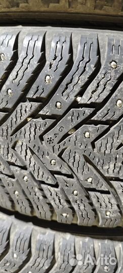 Nokian hakkapeliitta 8 225 50 r17