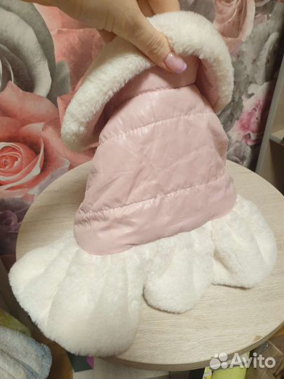 Одежда для собак