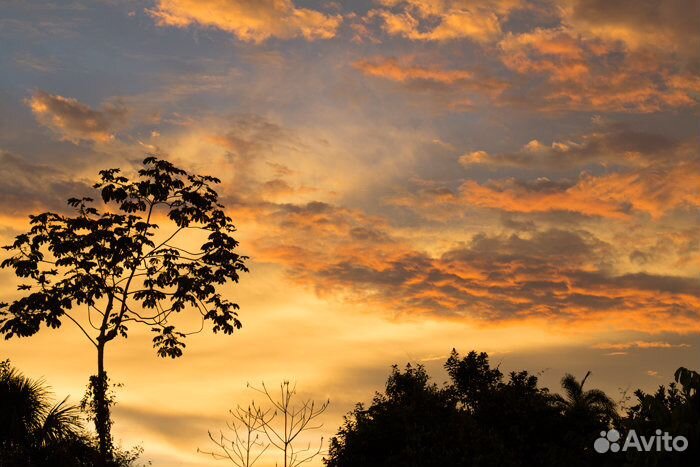 Градиентный цветной фильтр Оранжевый Gradual P