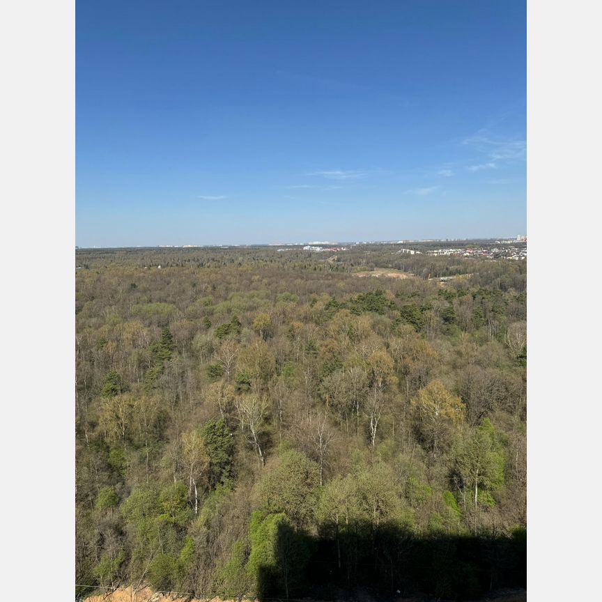 Апартаменты-студия, 24,1 м², 21/28 эт.