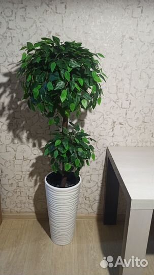 Искусственное дерево IKEA