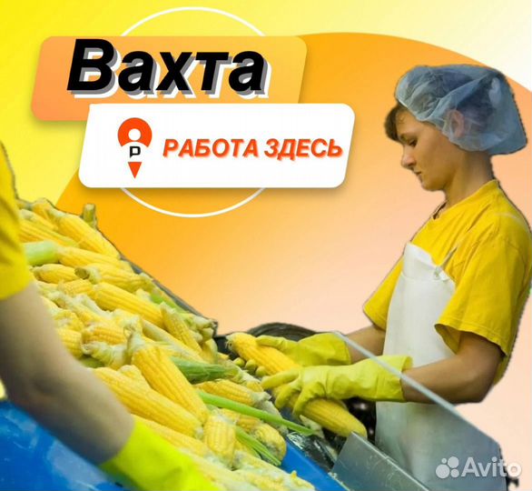 Оператор линии (завод)