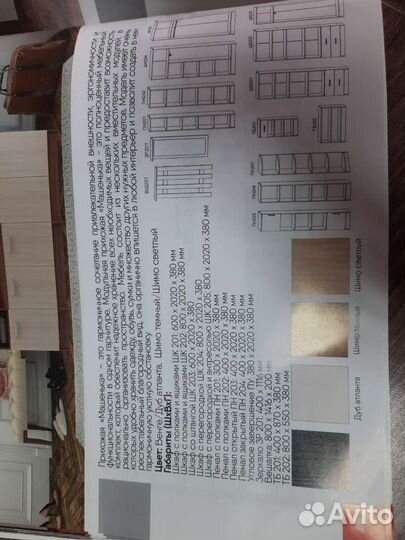 Шк 203 Машенька