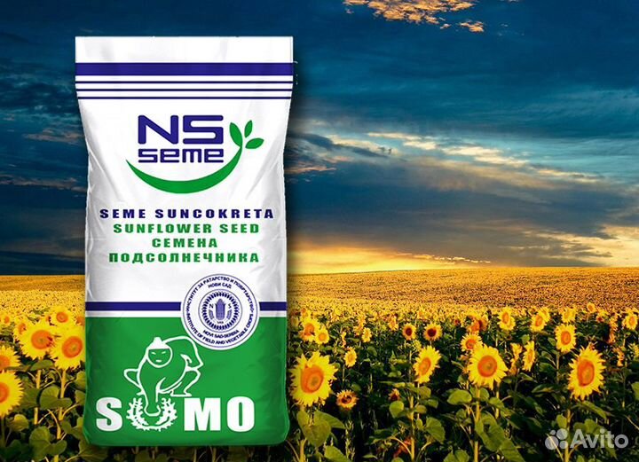 Семена подсолнечника гибрида нс Х 6007 (Экспресс)
