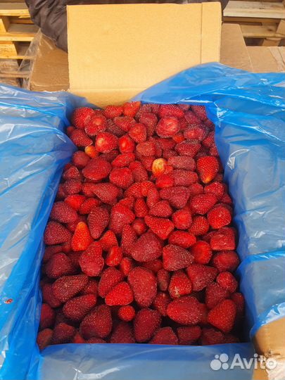 Замороженная клубника