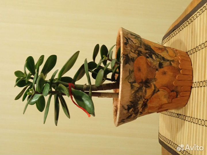 Горшок глиняный. Hand Made