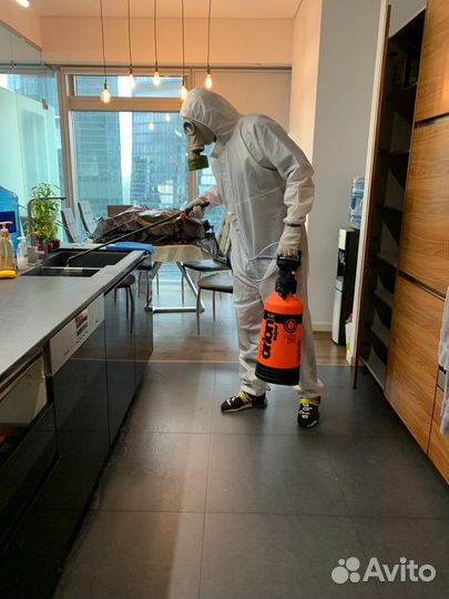 Дезинфекция