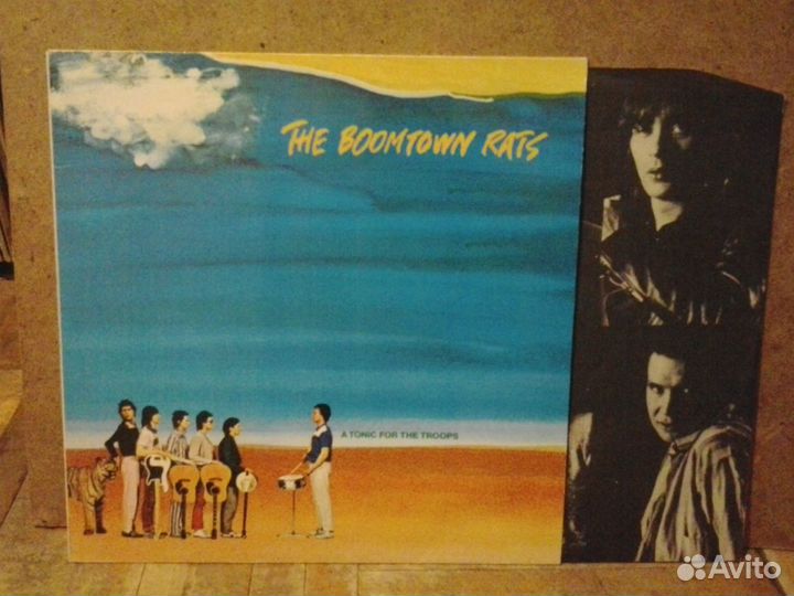 Виниловая пластинка Boomtown Rats (78)