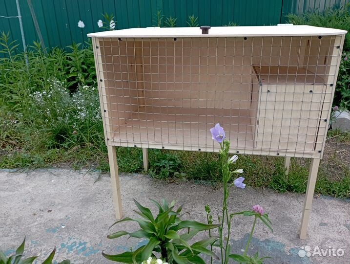 Клетка