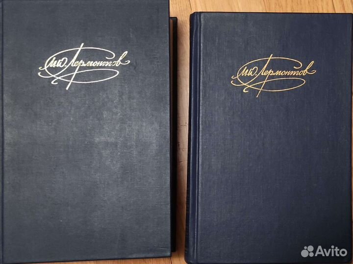 Лермонтов М. Ю. в 2-х томах