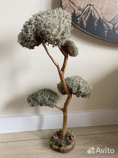 Дерево в ванную