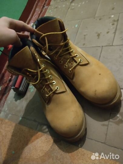 Timberland