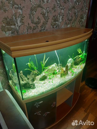 Аквариум с тумбой 300 литров