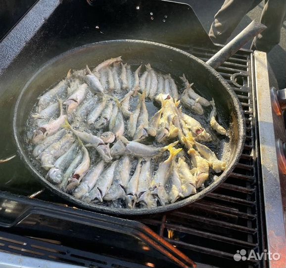 Морская рыбалка, прогулки на яхте/катере