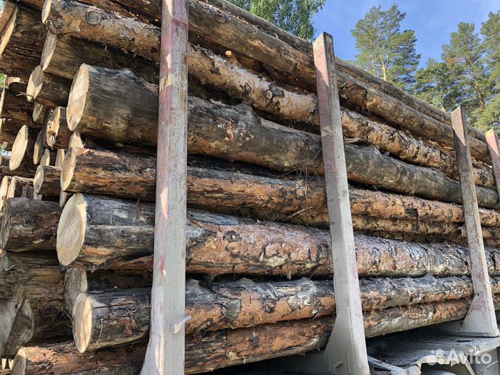 Лес кругляк пиловочник 2 сорт