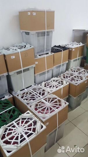 Розы Оптом от 40000