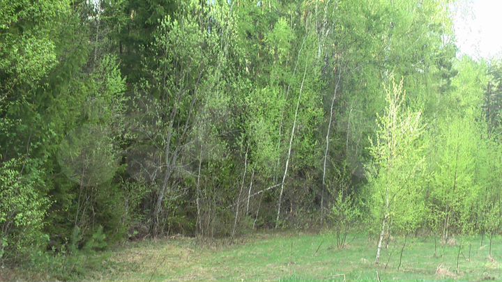 Участок 6,7 га (СНТ, ДНП)