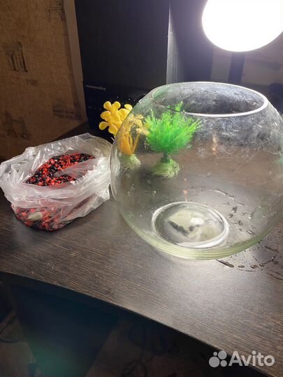 Аквариум для рыб