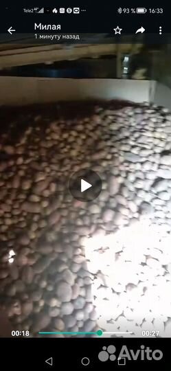 Продам картофель с доставкой