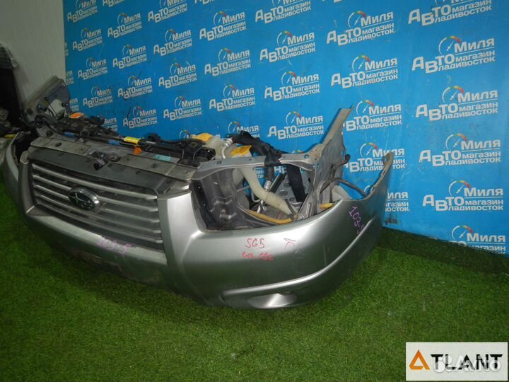 Nose cut subaru forester