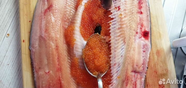 Форель Свежая