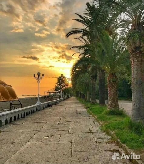 Однодневная экскурсия в Абхазию из Сочи