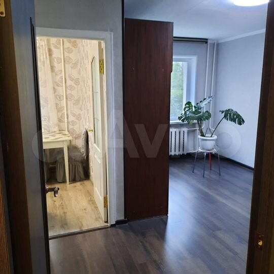 1-к. квартира, 30,9 м², 2/5 эт.