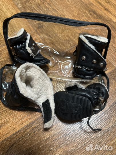 Ботинки для собак