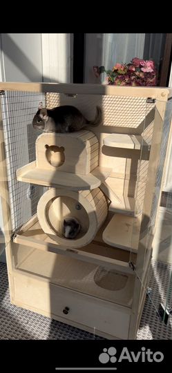 Клетка витрина для шиншиллы крыс хорьков белок