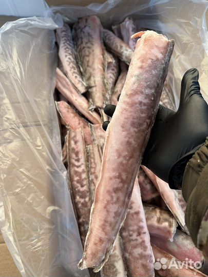 Рыба Креветочная