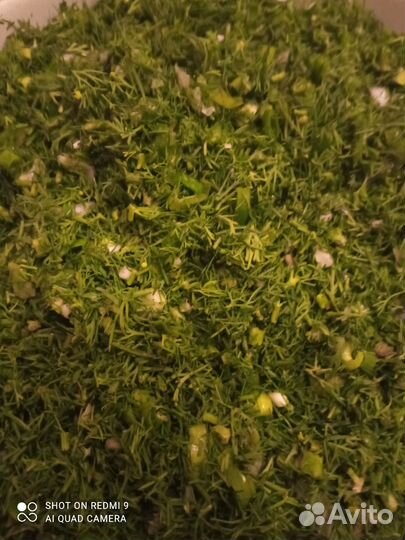 Укроп, базилик, чеснок стрелки замороженные