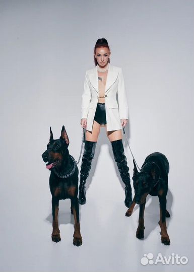 Фотосессия с доберманом 22 сентября