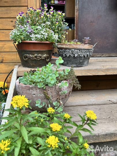 Кашпо декоративное для цветов
